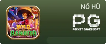 Wild Đạo Tặc